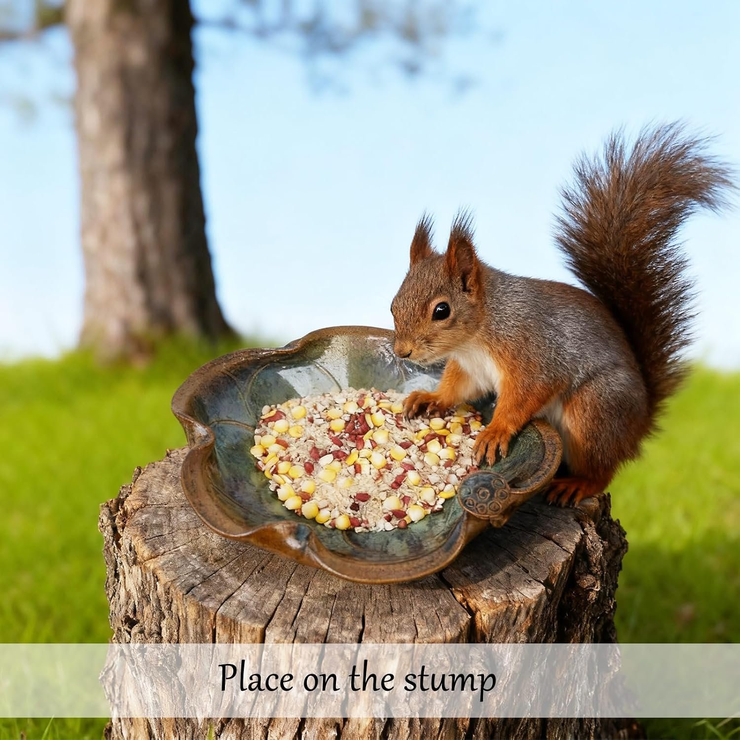 Ceramic Bird Bath and Feeder for Outdoor & Indoor, Heavy Duty 12.5-Inch Ground, Deck Feeding Bowl, Wildlife Water Station for Bird Squirrel Rabbit Bee - Garden, Yard, Balcony Décor - Image 2